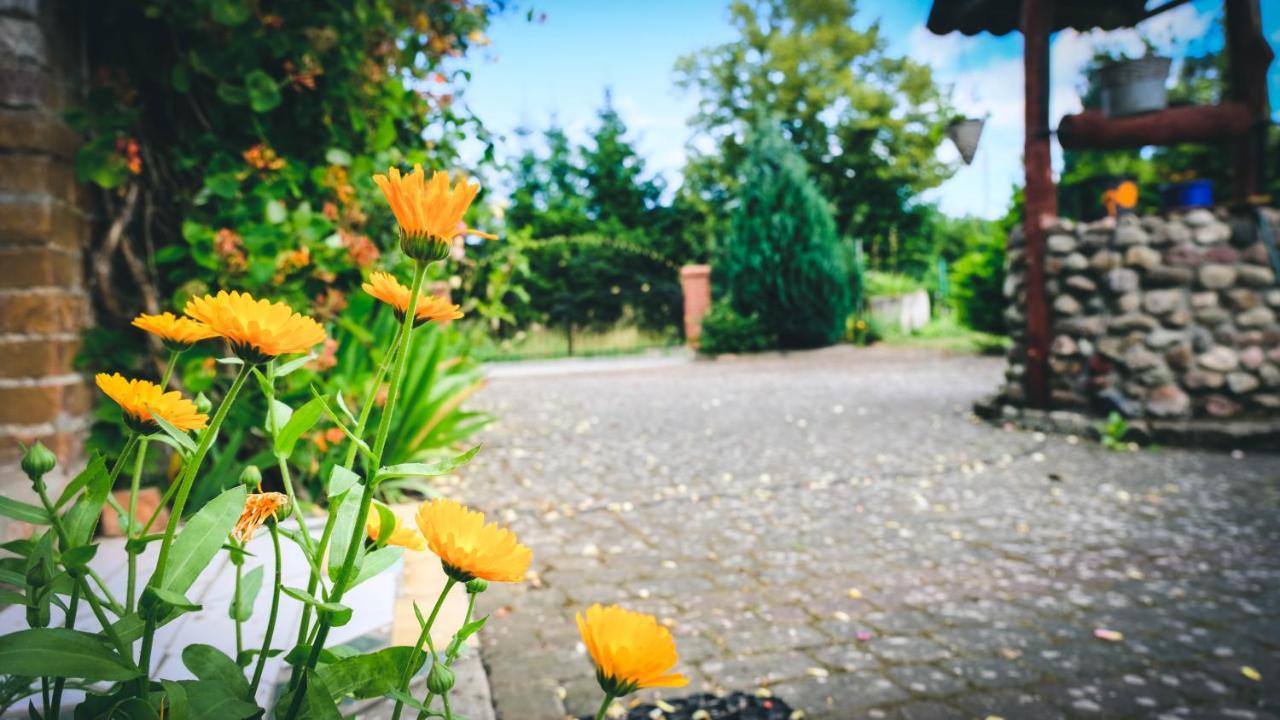 Chata Na Koncu Swiata Czaplin Maly Dış mekan fotoğraf