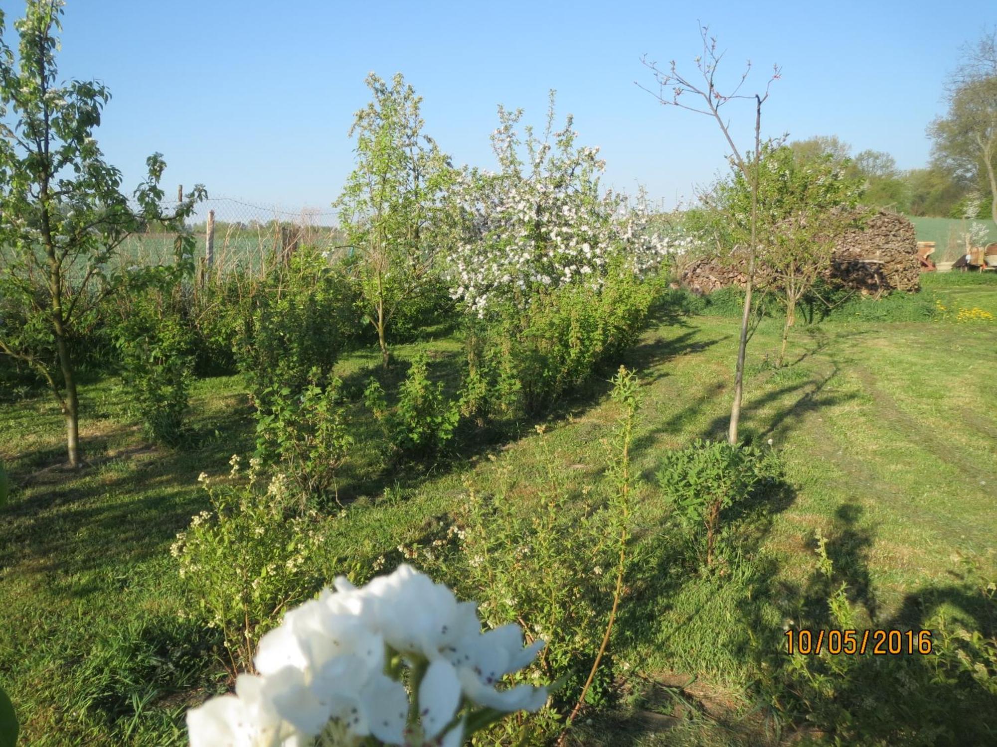 Chata Na Koncu Swiata Czaplin Maly Dış mekan fotoğraf
